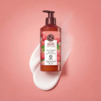 Lait Corps Litchi Fruité