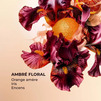 Brume Parfumée Corps & Cheveux  Bouquet Ambré