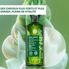 Shampooing Fortifiant Anti- Chute