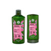 Duo Shampoing & Après Shampoing COULEUR
