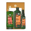 Routine Capillaire - Lissage