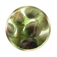 La Lotion Essentielle Rénovatrice Eclat