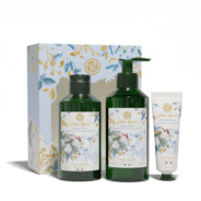 Petite Composition LITCHI GIVRE