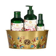 Composition Moyenne INFUSIONS EPICES