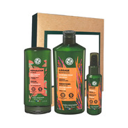 Routine Capillaire - Lissage