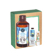 Grande Composition  Algue Sauvage Criste Marine