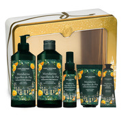 Composition Premium Mandarine Aiguilles de Pin