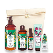 Composition XL Vanille