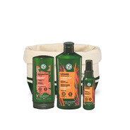 Routine Capillaire Lissage