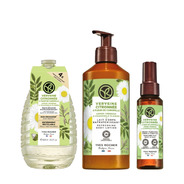 Composition Verveine & Camomille