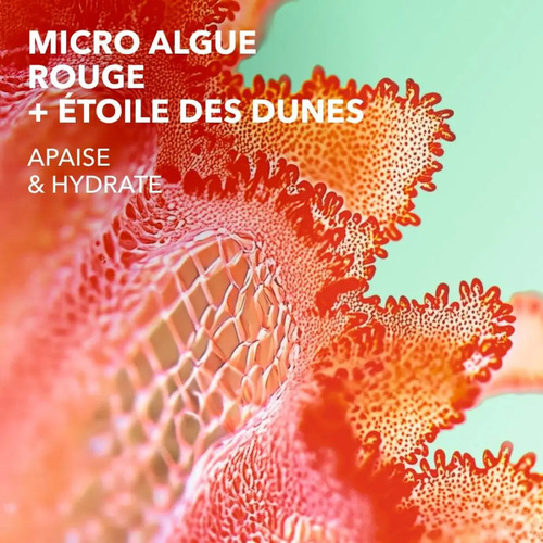 Lait Après-Soleil Réparateur