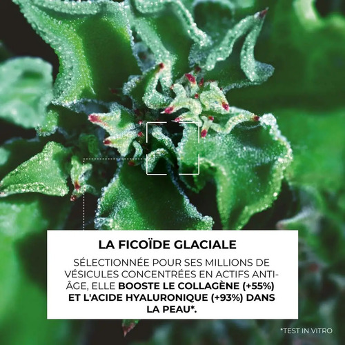 Concentré Double Action