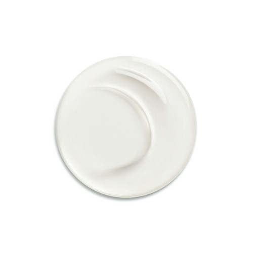 Shampooing Détoxifiant